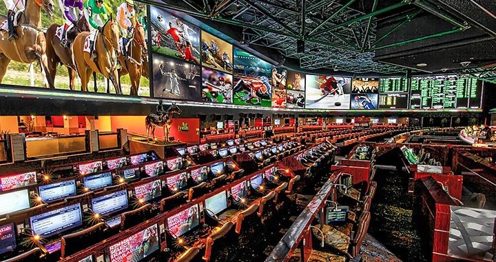 Nevada sports books look to take lead on national sports betting