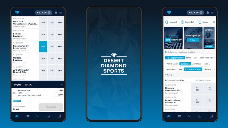 Arizona's Desert Diamond Casinos launches new sports betting app